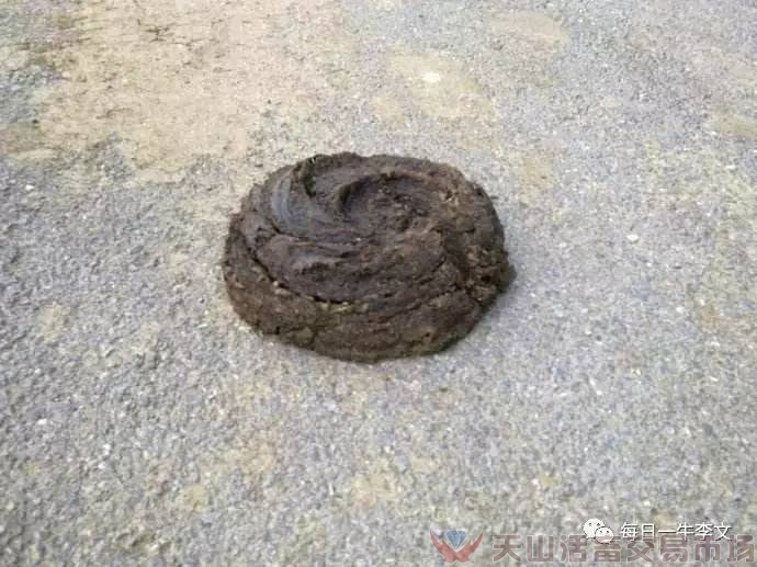 怎樣看出?；疾×?？告訴你6個簡略易用的小竅門（養(yǎng)牛菜鳥進）（圖七）